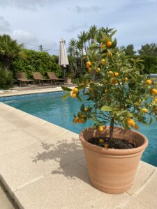 Pool area